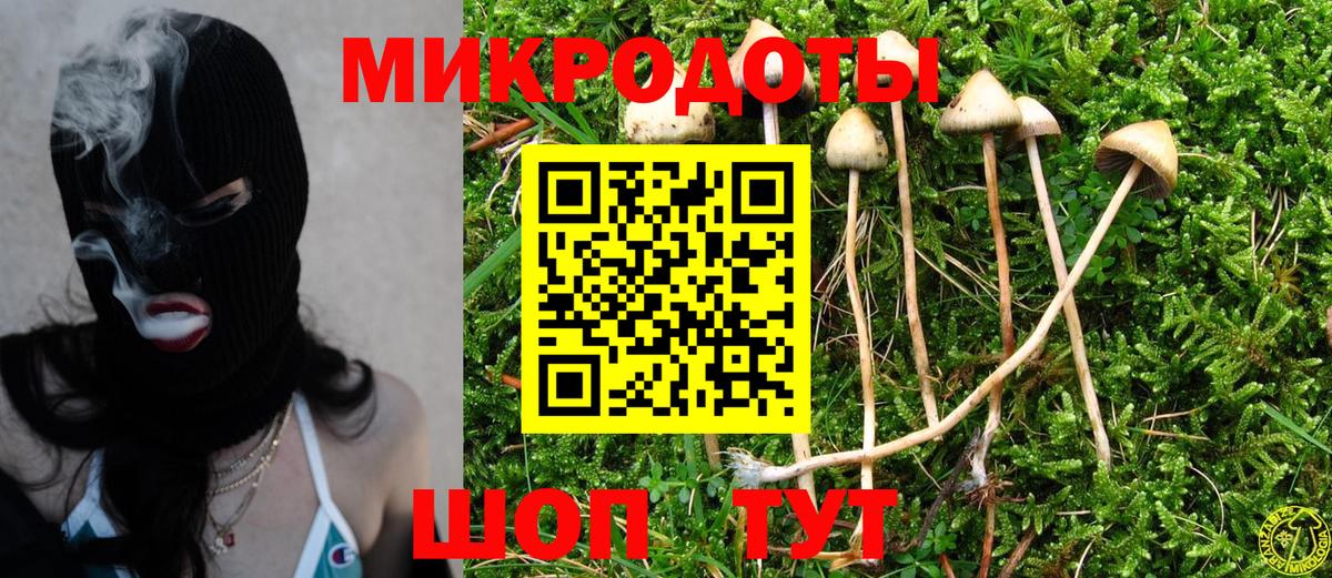 хочу   Псилоцибиновые грибы Psilocybe  Вход с VPN  Галлюциногенные грибы ЛСД  Кемерово 